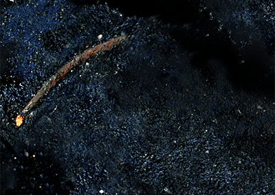 CLOSELY OBSERVED STARS