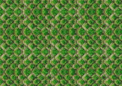 GREEN ECONOMY