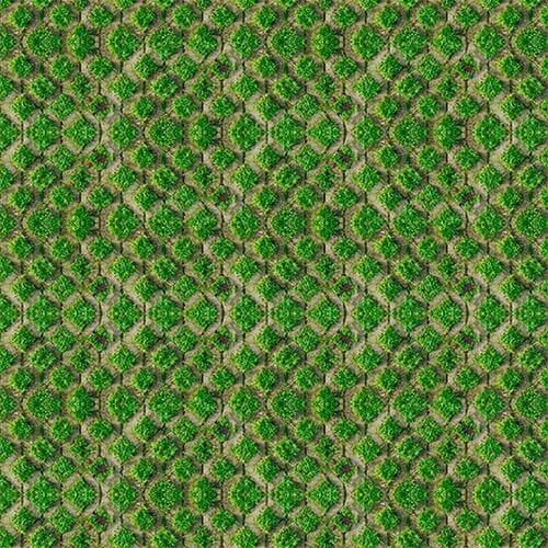 GREEN ECONOMY