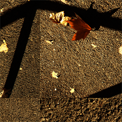 STRADE: VIALE DELL’UNIVERSITA’, ROMA