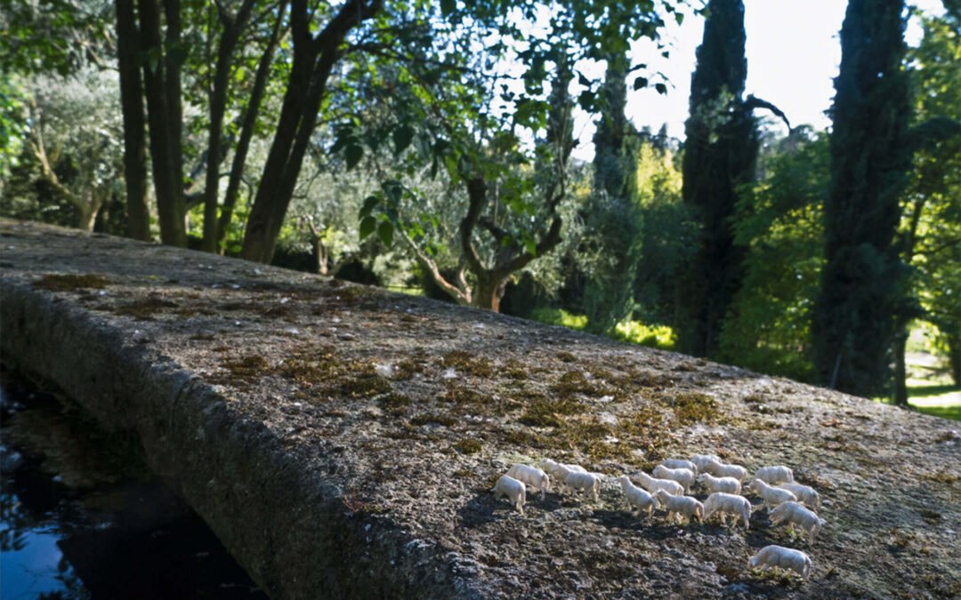 VIA FONTE DEL GATTO n°7, MANZIANA