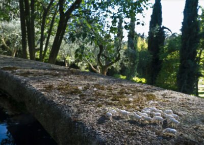 VIA FONTE DEL GATTO n°7, MANZIANA