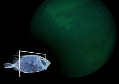 LA VIDA ES SUEÑO N°3