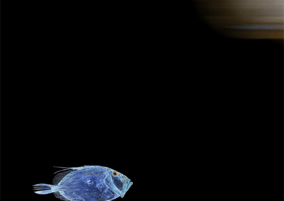 LA VIDA ES SUEÑO N°4